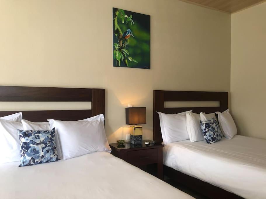 Lisa Loft Boutique Apartment La Fortuna ภายนอก รูปภาพ